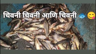 चिवनी चिवनी आणि चिवनी 😅😋🐟 #viral #trending #viralvideo #fish