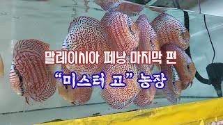 말레이시아 페낭 7편 “미스터 고” 농장(마지막 편)