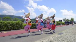 熊本県益城町復興支援阿波踊り 20160717@総合体育館前【関西阿波踊り協会合同連】