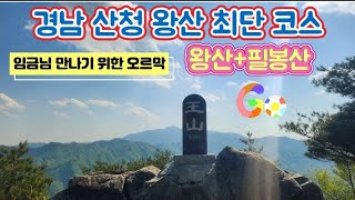 산청 왕산 최단 등산코스 블랙야크 명산100플러스 임금님 뵙기