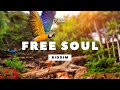 ►FREE◄ Reggae Instrumental Beat 2023 | FREE SOUL Riddim