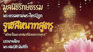 จูฬสีหนาทสูตร