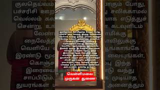 ஓம் முருகா துணை🙏#god#muruganslogasmanthras#tamilkadavul#tamil#tamilquotes#கந்தர்#omtv