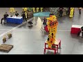 [4K]  Fu De Kulai 古来福德 @ Malaysia-China Lion Dance Championship, IOI Mall, 19 Oct 24