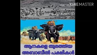 ആനകളെ തുരത്തിയ അബാബീൽ പക്ഷികൾ