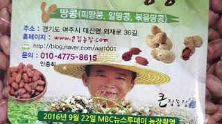 고소한 땅콩 여주땅콩 - 큰집농장