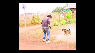 #ደሞዝ እና ኑሮ FUnny Habesha Tiktok Videos,አዝናኝ የሆኑ ቪድዮዎች