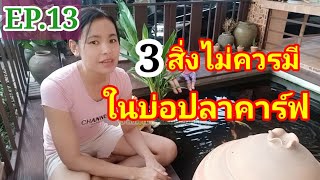 EP.13: 3 สิ่งไม่ควรมีในบ่อปลาคาร์ฟ(มือใหม่หัดเลี้ยงปลาคาร์ฟ)