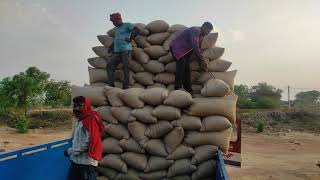 Paddy 2021 || paddy Bags Loading ||Lorry Loading || PADDY HEAVY LOADING IN TRUCK 2021