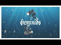 Geminids/ ChroNoiR