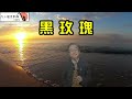 黑玫瑰 凡人薩克斯風 朝陽演奏