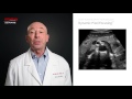 zone sonography® technology zst overview