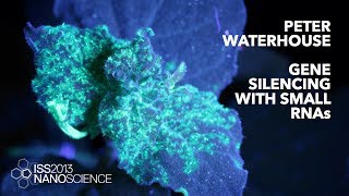 Gene Silencing with Small RNAs — Peter Waterhouse, ISS2013