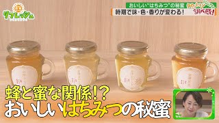 蜂と蜜な関係！？おいしい“はちみつ”の秘蜜（調べ隊）