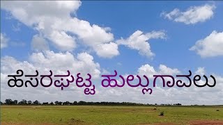 ಹೆಸರಘಟ್ಟ ಹುಲ್ಲುಗಾವಲು    Hesaraghatta grass land