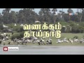 அச்சுவேலி யாழ் மாவட்டம் vanakkam thainadu ep 330 part 2 ibc tamil tv