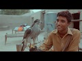 The Art Of Falconry In Pakistan