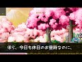 【感動】信頼していた部下に会社を奪われた俺。廃業寸前の定食屋を営む店主に出会い「俺を雇いませんか？」店主「え？」→1年後、元社長の俺が本気を出した結果…【泣ける話】【いい話】