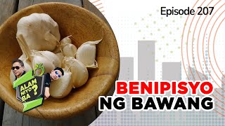 Alam Niyo Ba? Episode 207⎢‘Benefits of Garlic‘