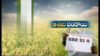 Jaikisan AP | 2nd April '19 | Part - 2