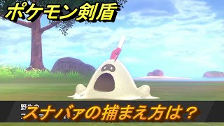 ポケモン剣盾　スナバァを捕まえる方法！オススメの場所は？天気は？ポケモン図鑑コンプへの道！　最新版【ポケモンソード・シールド】