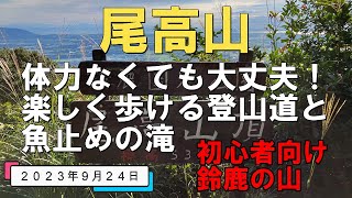 【尾高山】初心者向け 楽しく歩ける登山道と魚止めの滝20230924