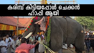 ചെറായി പൂരം  2025 | thrikkadavoor sivaraju I cherai pooram 2025 | തൃക്കടവൂർ ശിവരാജു Elephant