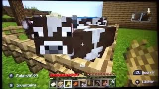 Episode 2 minecraft je dépouille un village