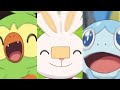 best moments from all galar starters|Pokemon Journeys