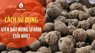 Cách sử dụng viên đất nung SFARM (sỏi nhẹ) - đất sét nung sau khi mua về | Soft gravel | SFARM