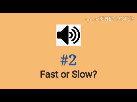 What is the fastest tempo song?