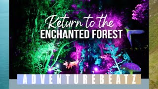 Adventurebeatz I Return To The Enchanted Forest I CINEMATIC Journey Into The Enchanted Forest