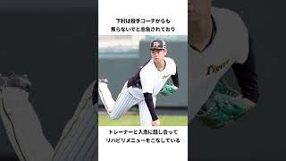 阪神ドラ1・下村海翔のリハビリエピソード#プロ野球 #野球解説 #野球ネタ #阪神タイガース #下村海翔