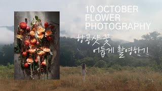 How to photograph flower / 꽃 자연광촬영 / 스타일링 /디어무이