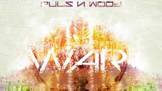 DIDGERIDOO - CAJON - PULS'N'WOOD - WAR- new album !