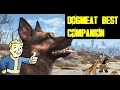 Here's Why Dogmeat Is ACTUALLY The Best Companion! | Fallout 4