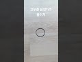 고무줄 끊었다가 붙이기 얍얍 magic 마술 잡기준