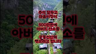 500만원 내고 시골 이장님이 아버지 산소를 이장시키려는 충격적인 이유 #shorts