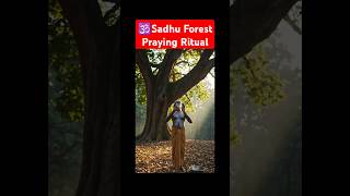 Sadhu Praying Ritual in Forest Creates a Devineful Moment, Include Ai and editing effects