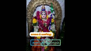 எங்கள் குலதெய்வம் செம்பகாதேவி அம்மன்  #shortsfeed #viral #trending #tamil #tenkasi