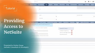NetSuite Tutorial | How to Give Someone Access to NetSuite