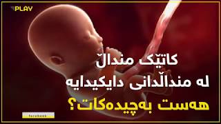 کاتێک منداڵ لە منداڵدانى دایکیدایە هەست بەچیدەکات؟