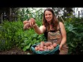 Surprising Results Growing & Harvesting Potatoes in Containers