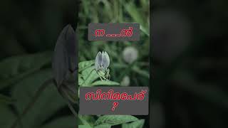 ക്ലൂ വീഡിയോ യിൽ und😊 #trending #flower#goneviral #guessmoviename