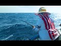 8.2.2024 red snapper 39hr offshore fishing trip hubbards marina