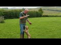 how to train a gundog