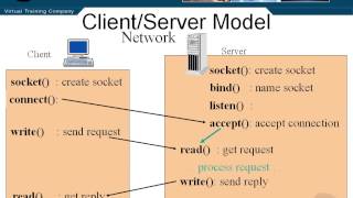 VTC Player Advanced Java Programming Java SE 7, The Client Server Model