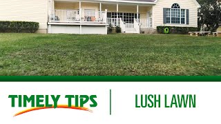 Timely Tips: How To Get a Lush Lawn | Menards