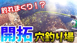 【穴釣り】穴釣り場開拓でいきなりカサゴ大漁になった！サイズもデカい！