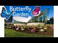 Tour in Dancing Wings Butterfly Garden| Tham quan vườn sinh thais